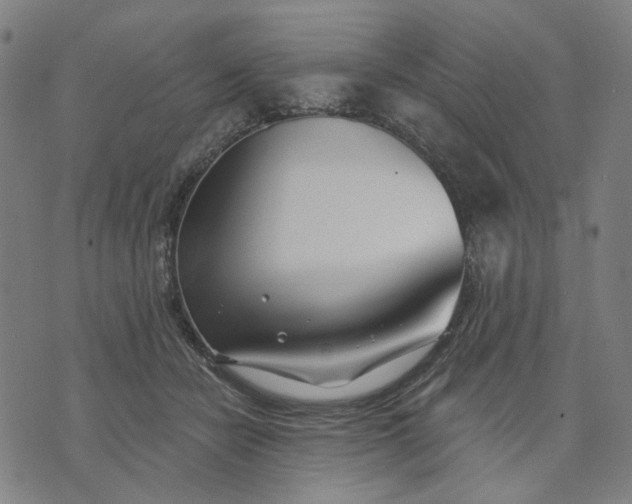 X0000074260462200609081740