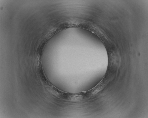 X0000074260463200609081740