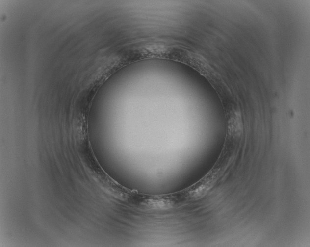 X0000074260464200609081740