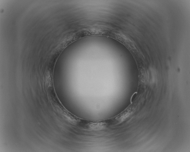 X0000074260465200609081740