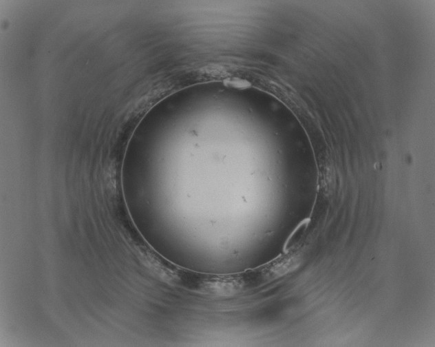 X0000074260466200609081740