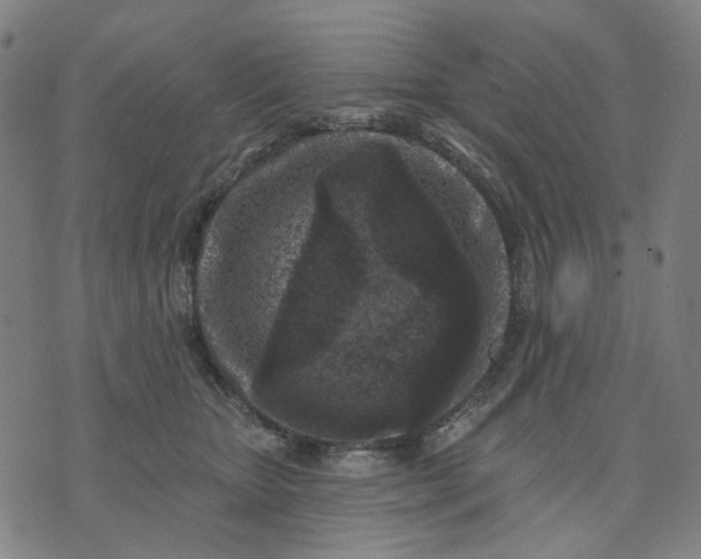 X0000074260467200609081740