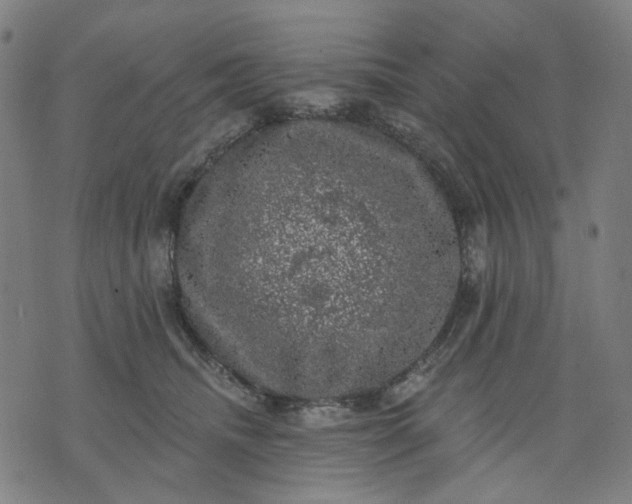 X0000074260468200609081740