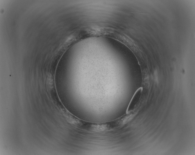 X0000074260469200609081740