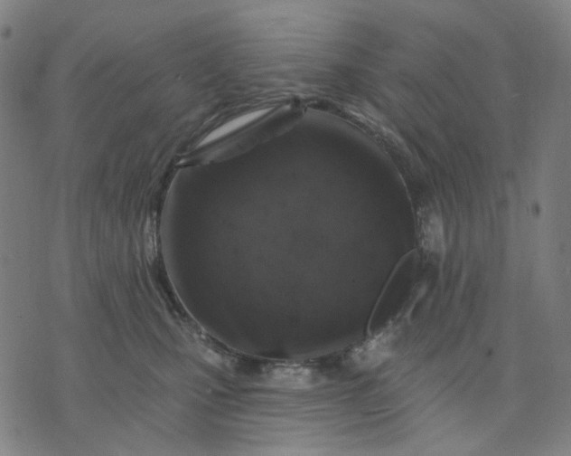 X0000074260471200609081741