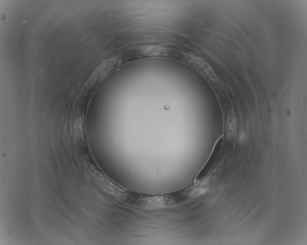 X0000074260473200609081741