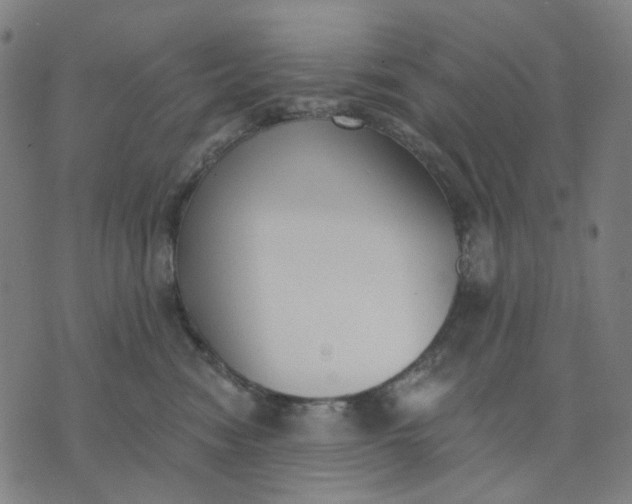 X0000074260474200609081741