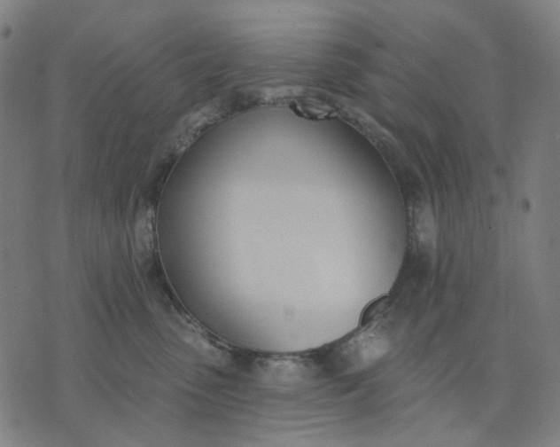 X0000074260475200609081741