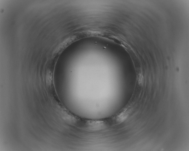 X0000074260476200609081741