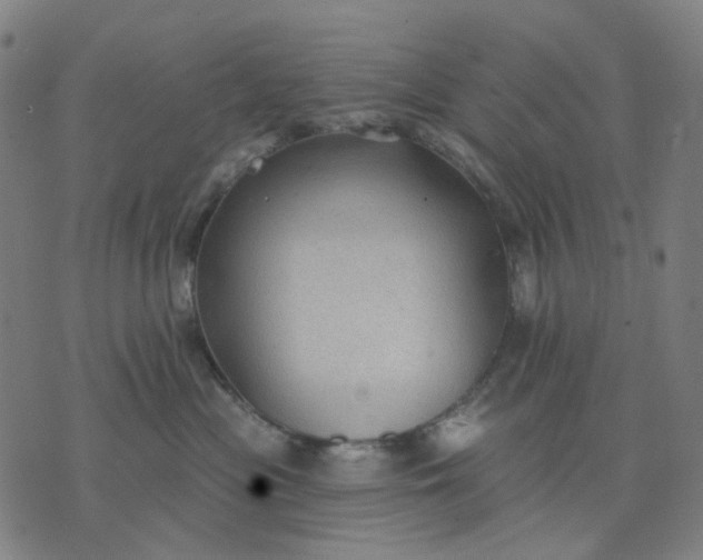 X0000074260477200609081741