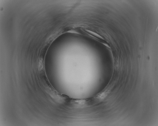 X0000074260478200609081741