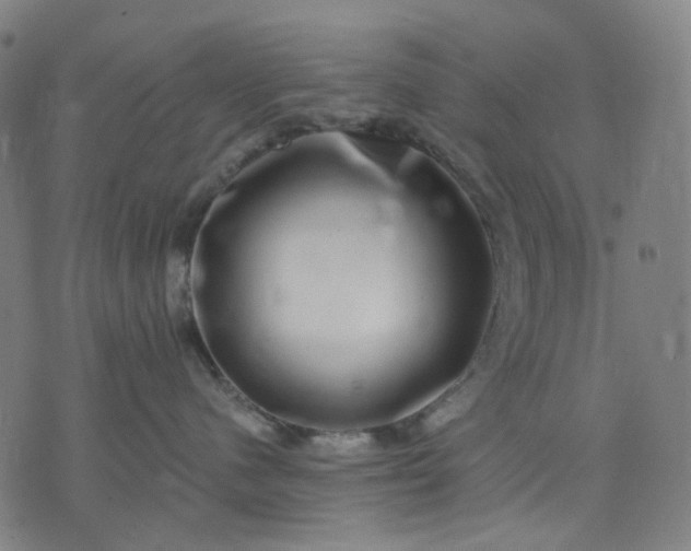 X0000074260480200609081741