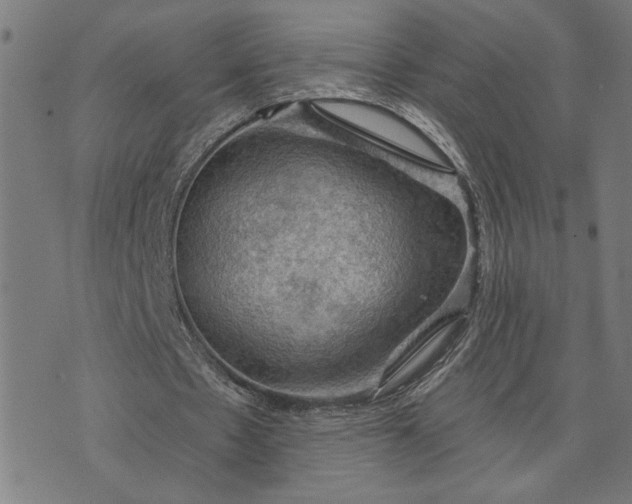 X0000074260481200609081740