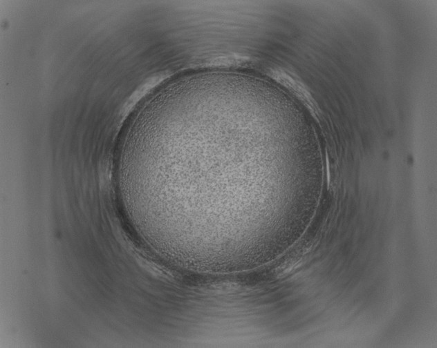 X0000074260483200609081740