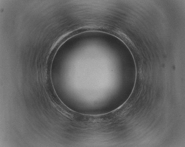 X0000074260484200609081740