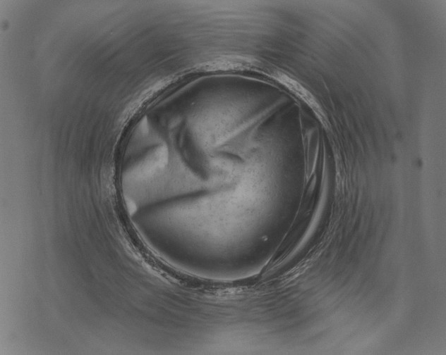 X0000074260485200609081740