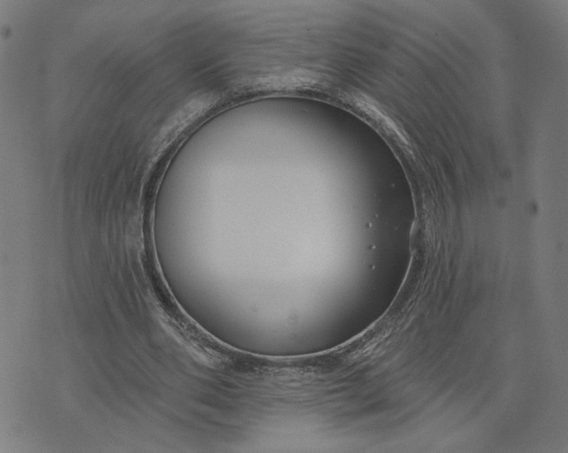 X0000074260486200609081740