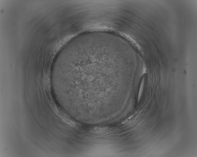 X0000074260487200609081740