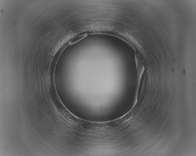 X0000074260488200609081740