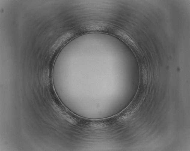 X0000074260490200609081740