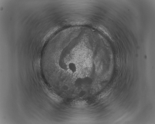 X0000074260491200609081740