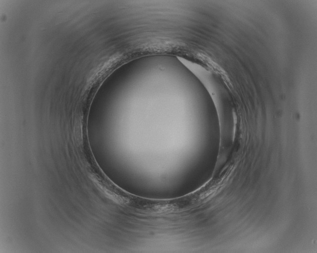 X0000074260493200609081740