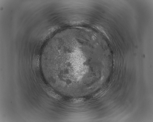 X0000074260495200609081740