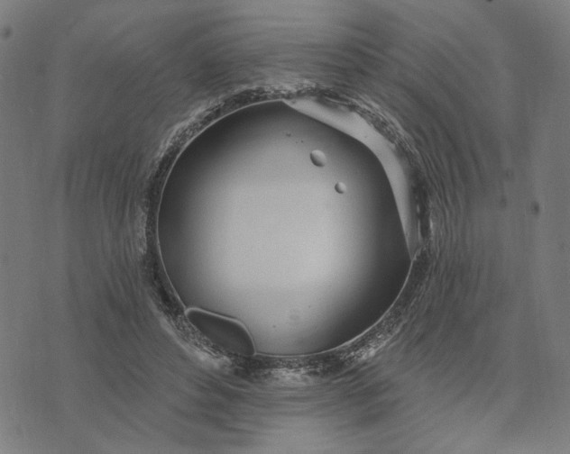 X0000074260496200609081740