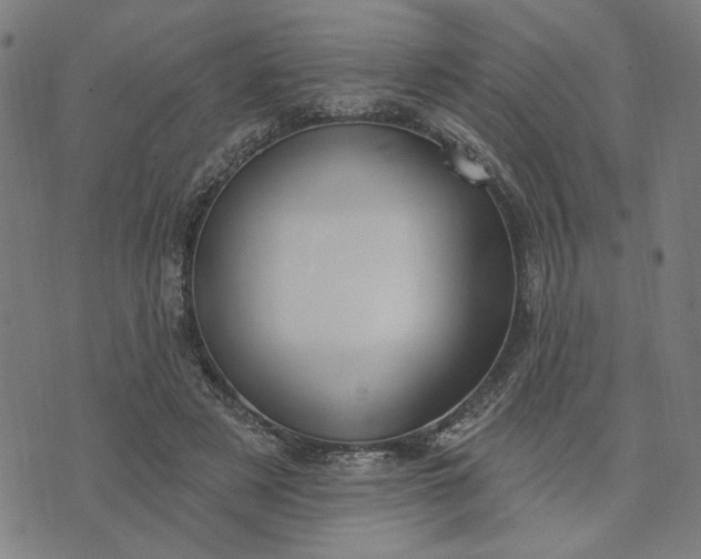 X0000074260497200609081740