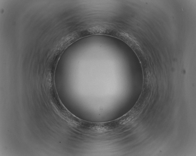 X0000074260498200609081740