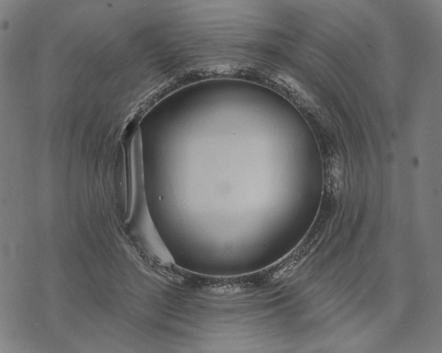 X0000074260500200609081740