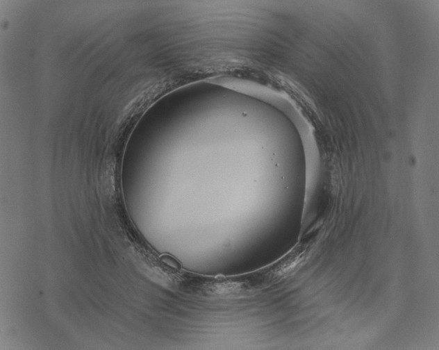 X0000074260501200609081740