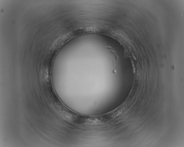 X0000074260502200609081740