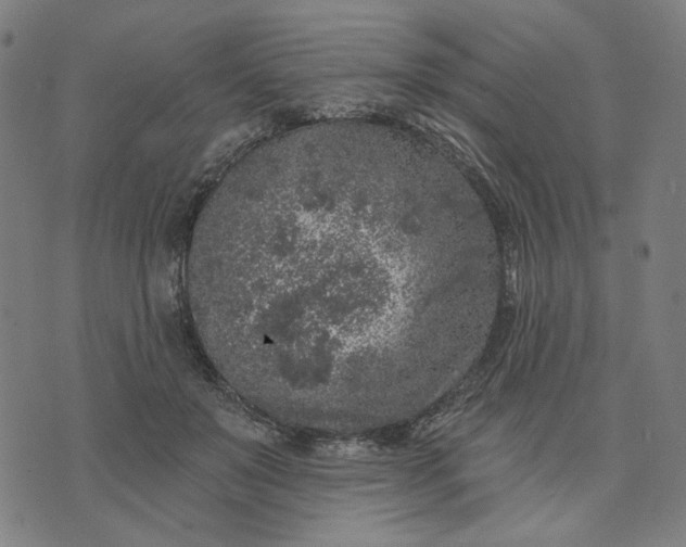 X0000074260503200609081740