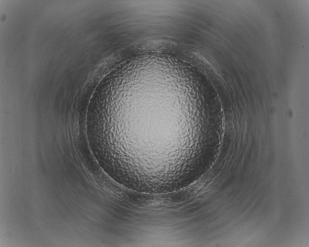 X0000074260504200609081740