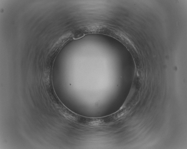 X0000074260505200609081739