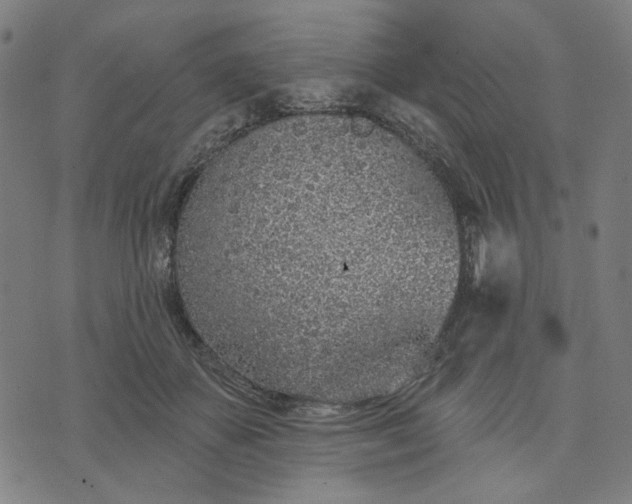 X0000074260507200609081739