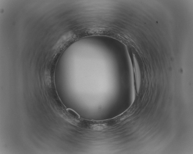 X0000074260508200609081739