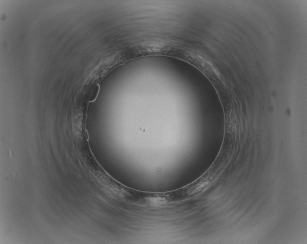 X0000074260509200609081739