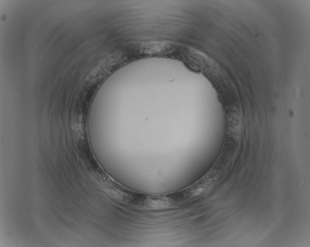 X0000074260510200609081739