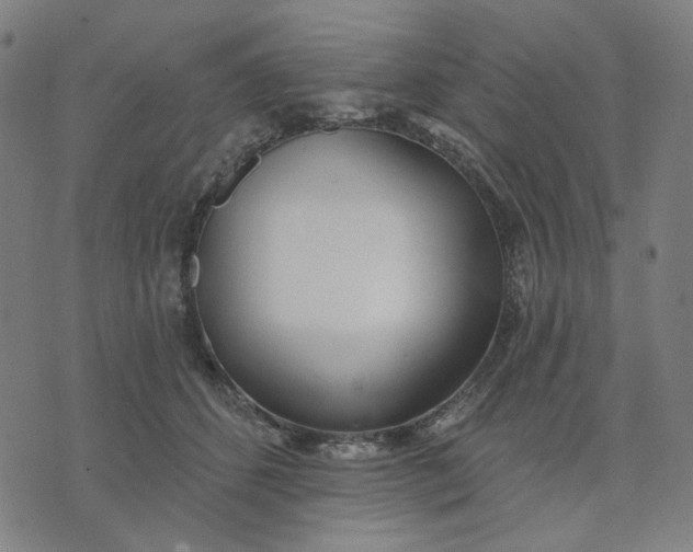 X0000074260512200609081739