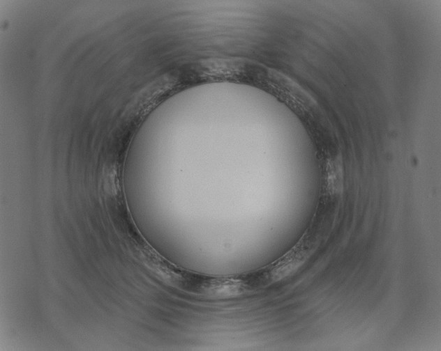 X0000074260514200609081739