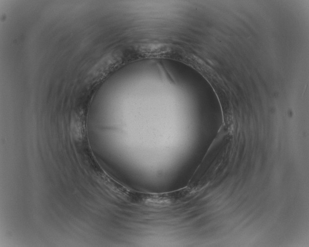 X0000074260515200609081739