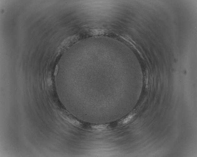 X0000074260516200609081739