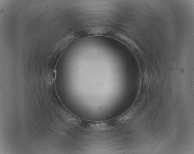 X0000074260517200609081739