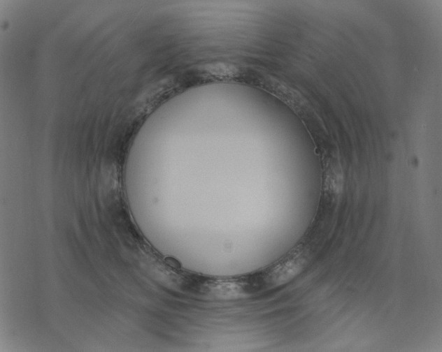 X0000074260518200609081739