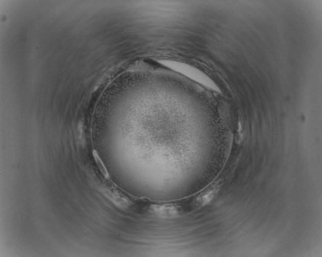 X0000074260520200609081739