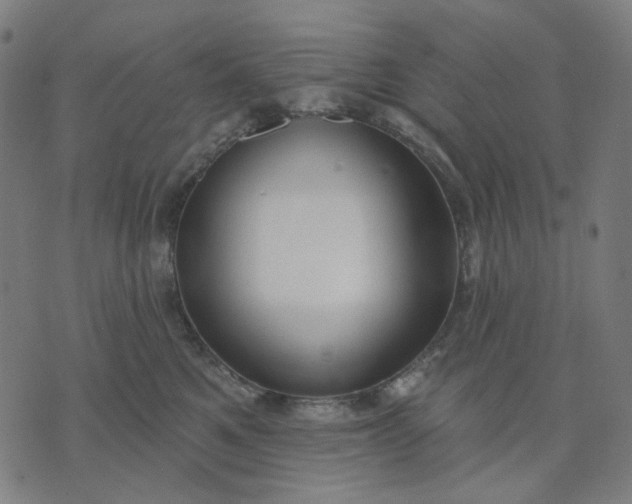 X0000074260521200609081739