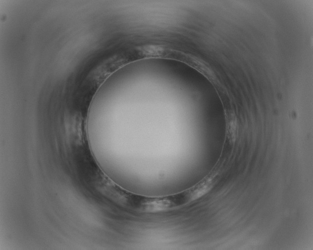 X0000074260525200609081739