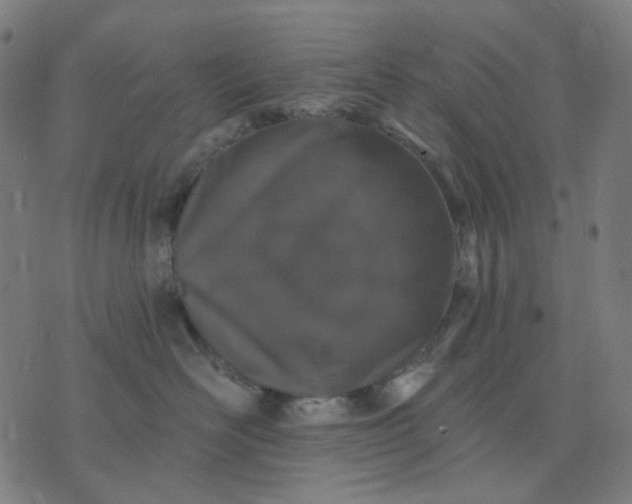 X0000074260526200609081739